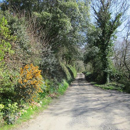 Higher Coombe Bovey Tracey Exterior photo